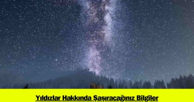 yildizlar-hakkinda-sasiracaginiz-bilgiler