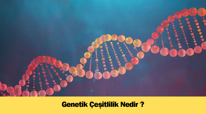 genetik-cesitlilik-nedir