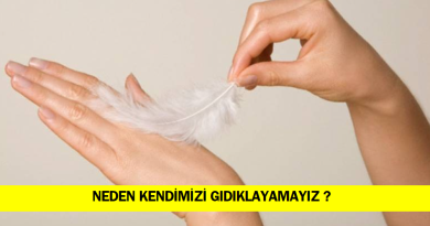 neden-kendimizi-gıdıklayamayiz