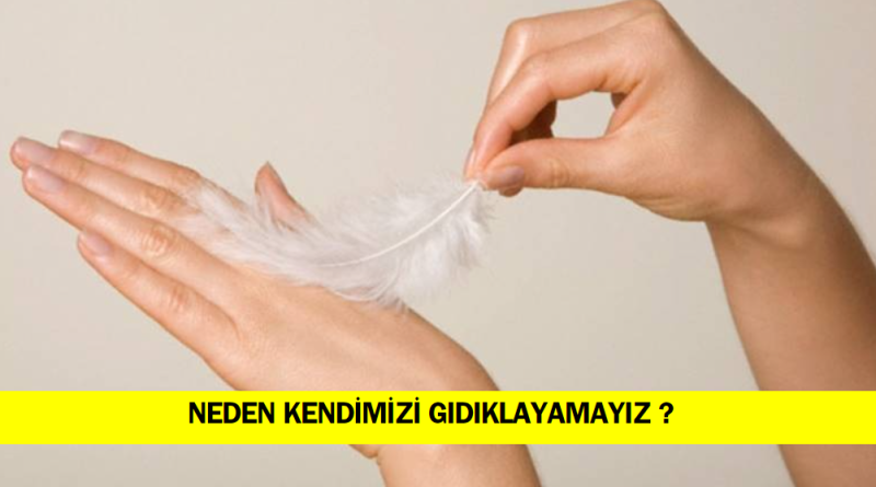 neden-kendimizi-gıdıklayamayiz